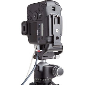 Really Right Stuff B1DX-L для Canon 1DX